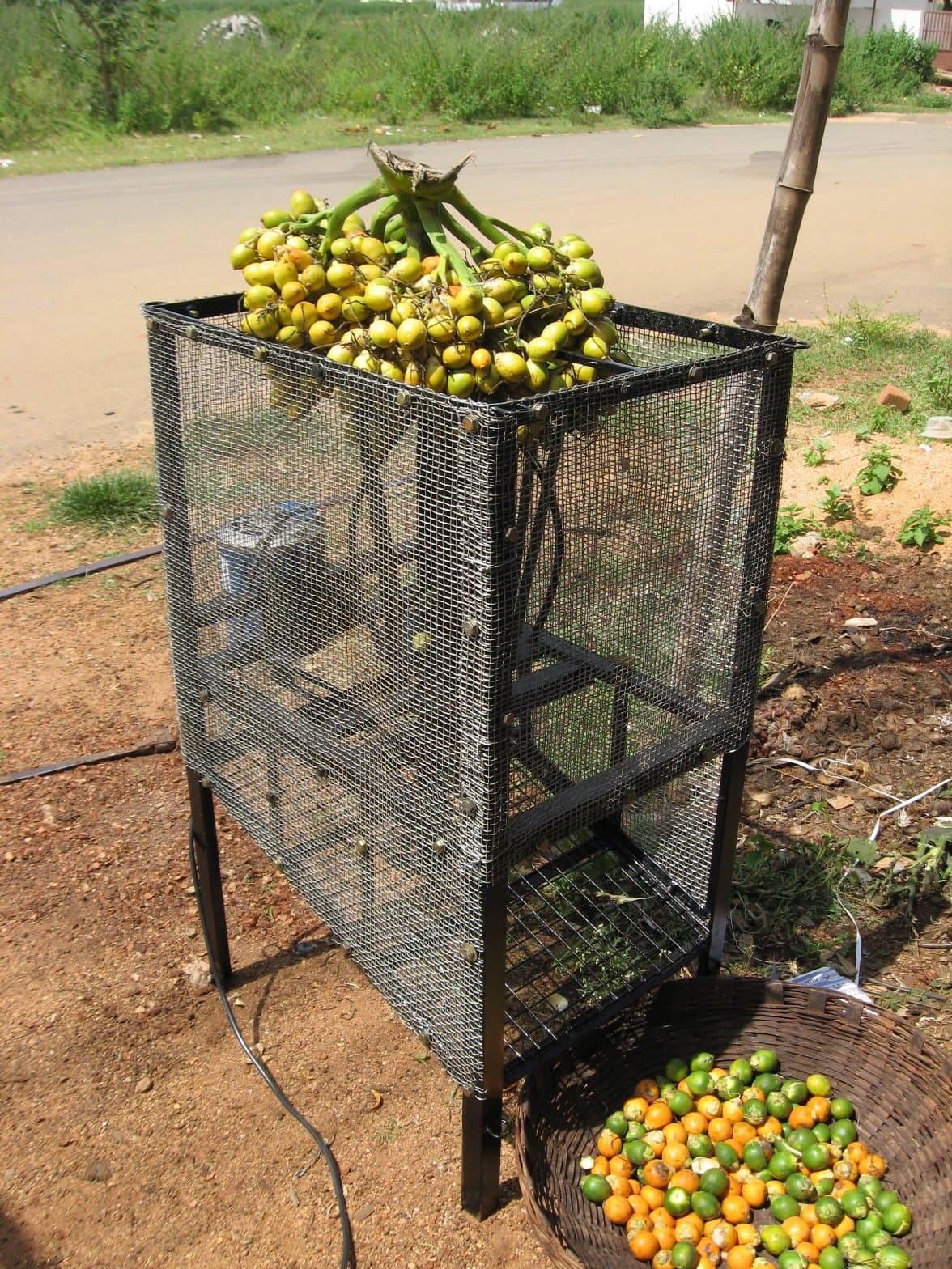 Arecanut Bunch Beater — photo 2